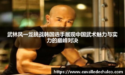 武林风一龙挑战韩国选手展现中国武术魅力与实力的巅峰对决