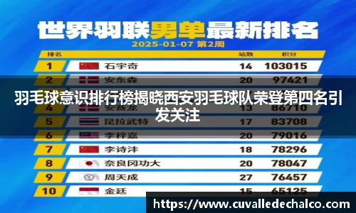 羽毛球意识排行榜揭晓西安羽毛球队荣登第四名引发关注