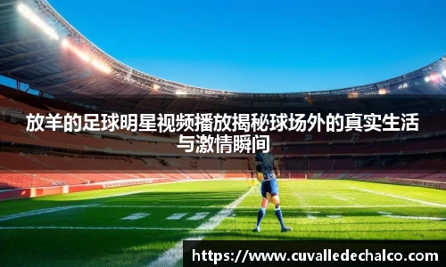 放羊的足球明星视频播放揭秘球场外的真实生活与激情瞬间